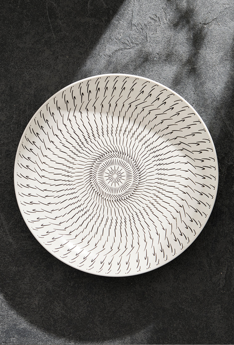 Circular pattern with concentric lines on a dark background