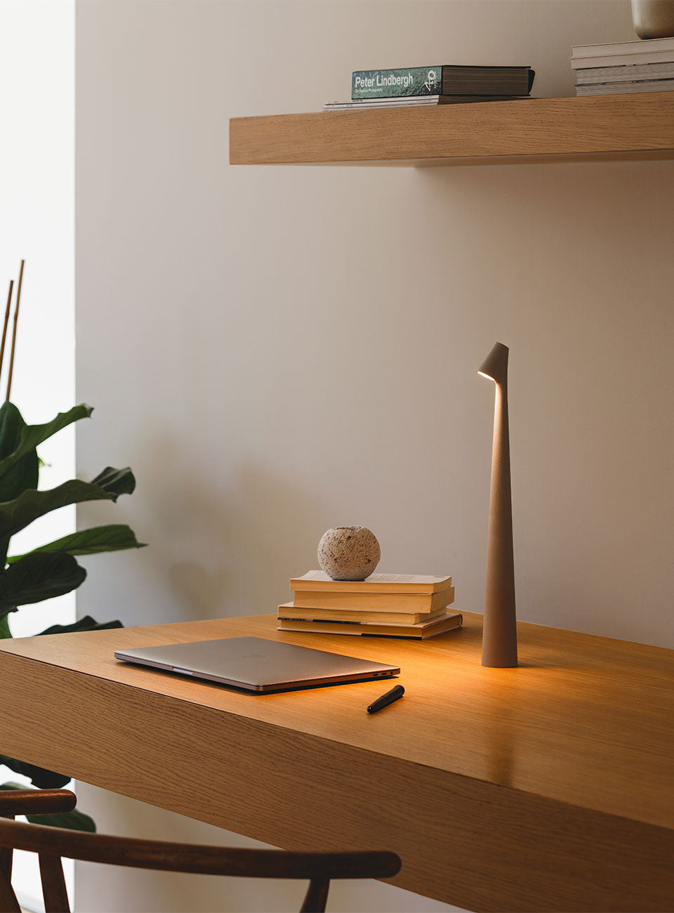 Wooden desk with a lamp, books, and a plant in a minimalistic setting