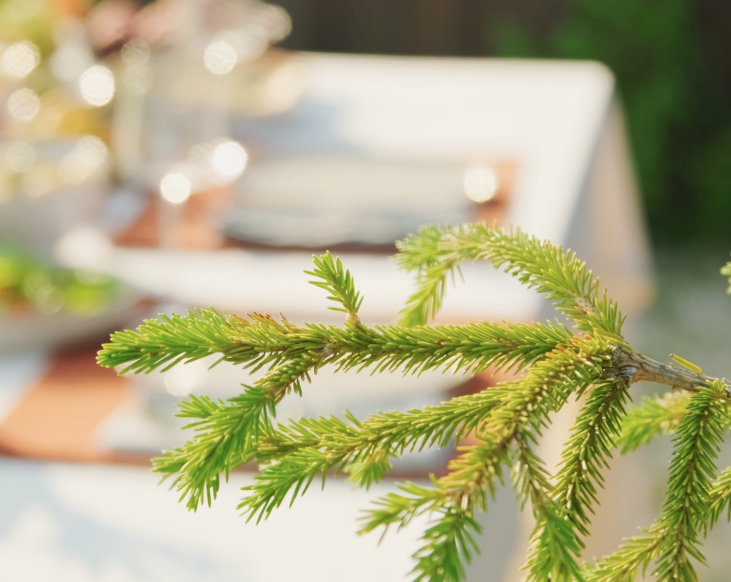 GOSEUNG Affiliate Picks – Top Gifts & Stylish Homeware