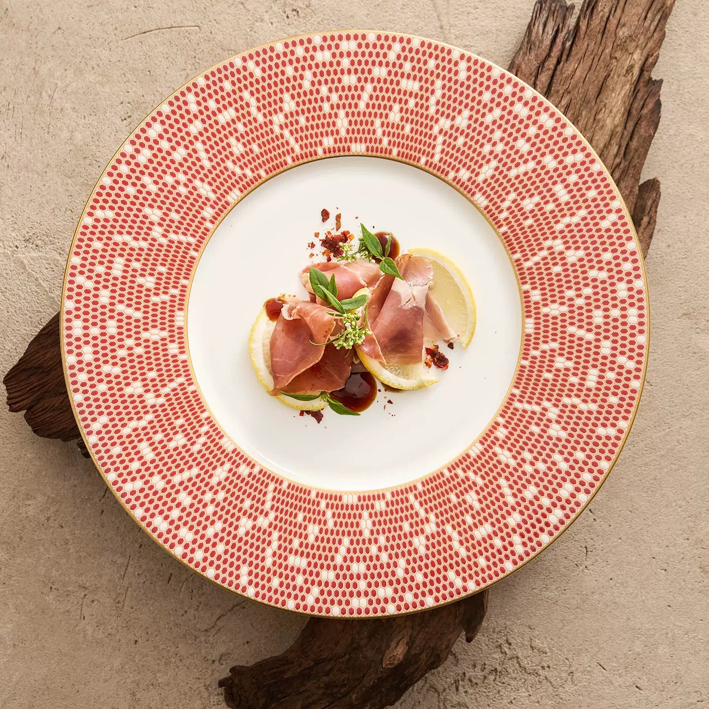 Aerial view of an 11.25-inch Celestial Series plate with a vibrant coral geometric border.