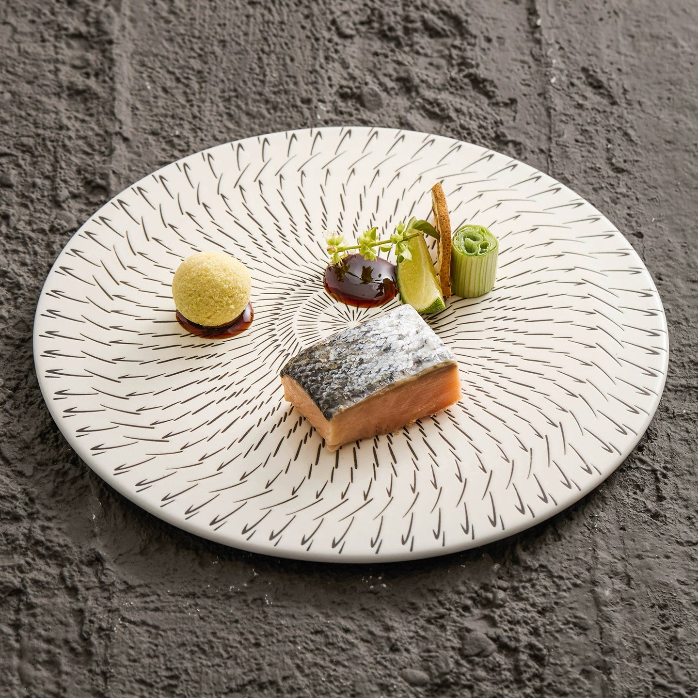 Plated dish with salmon and side dishes on a textured gray background