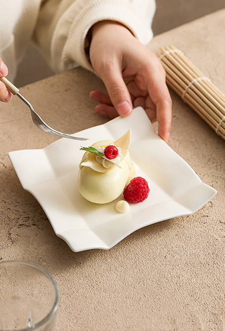 GOSEUNG modern dessert dish for plating and photography