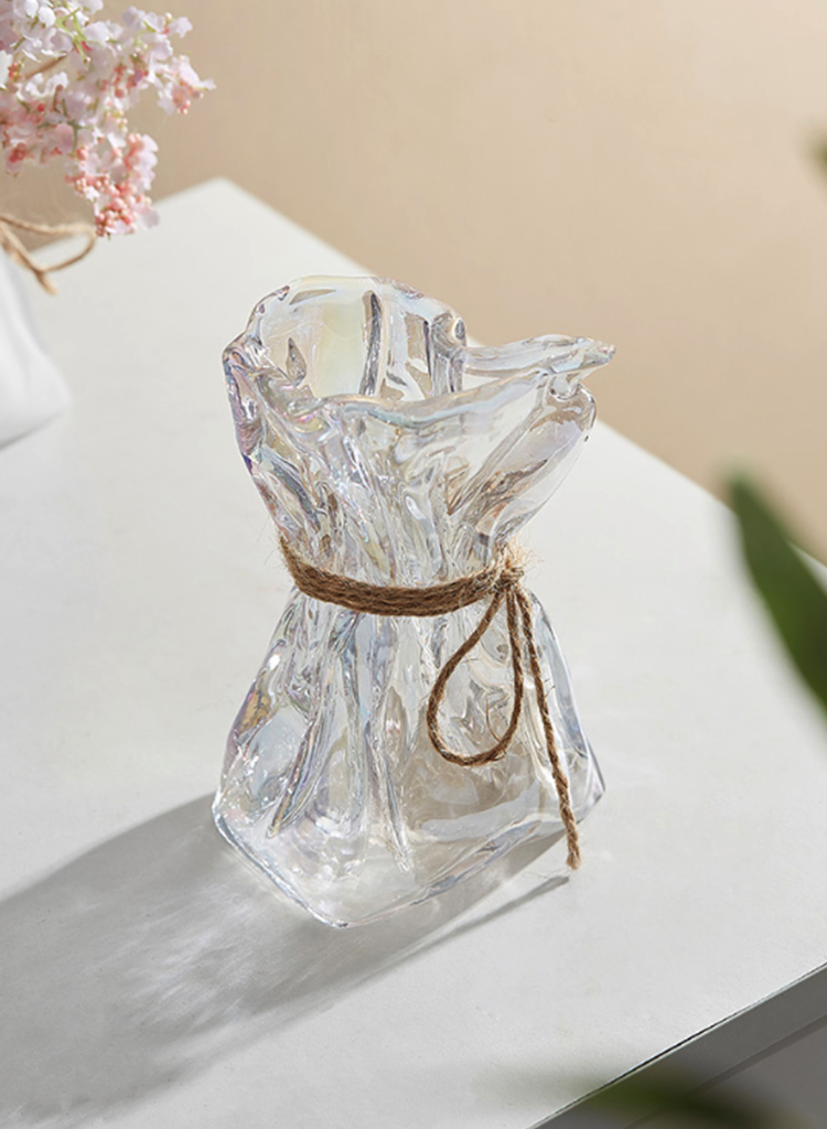 Hydroponic vase for minimalist home arrangement

