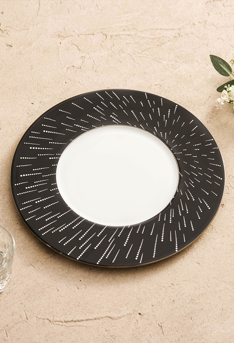 Luxury heavyweight porcelain dinnerware with a cosmic celestial aesthetic.