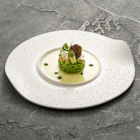 Matte sesame texture asymmetric porcelain plate