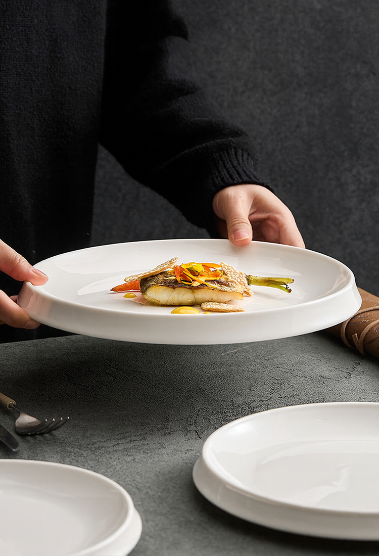Professional-grade porcelain plate for restaurants and homes