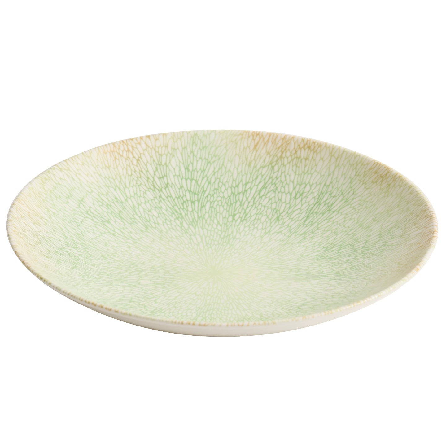 Shallow ceramic bowl for pasta and creative cuisine