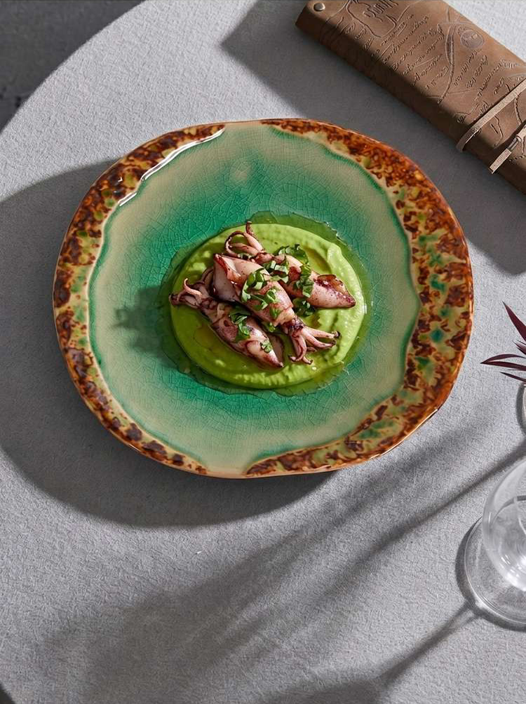 contemporary asymmetric ceramic dish for home chef and restaurants