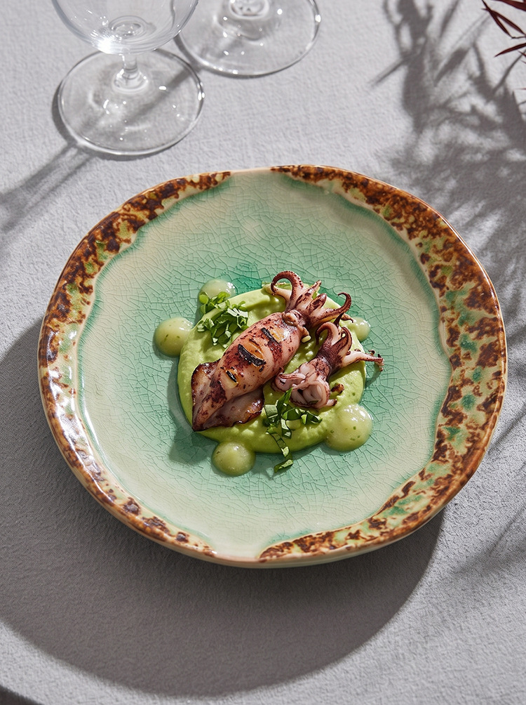 high fired reactive glaze stoneware dish dishwasher safe
